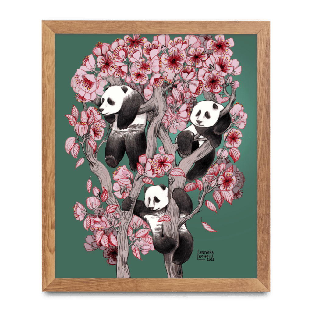 Trois pandas dans un cerisier en fleurs illustration Andrea Leonelli